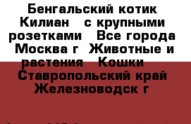 Бенгальский котик Килиан , с крупными розетками - Все города, Москва г. Животные и растения » Кошки   . Ставропольский край,Железноводск г.